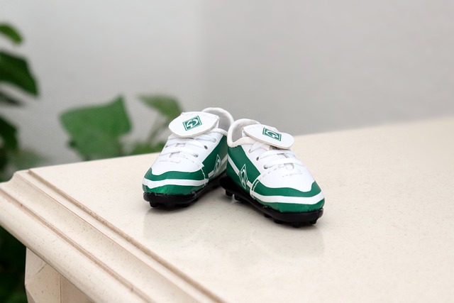 关注谢伊的 关注谢伊的