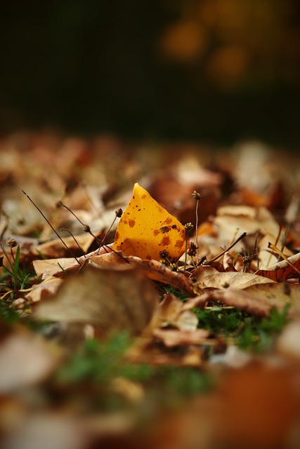 一个高效的 一个高效的