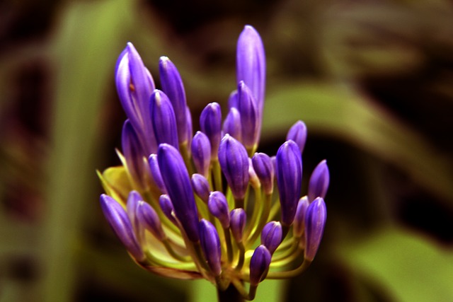 人知的故事 人知的故事