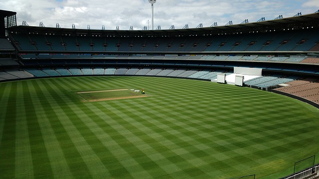 转会市场总 转会市场总