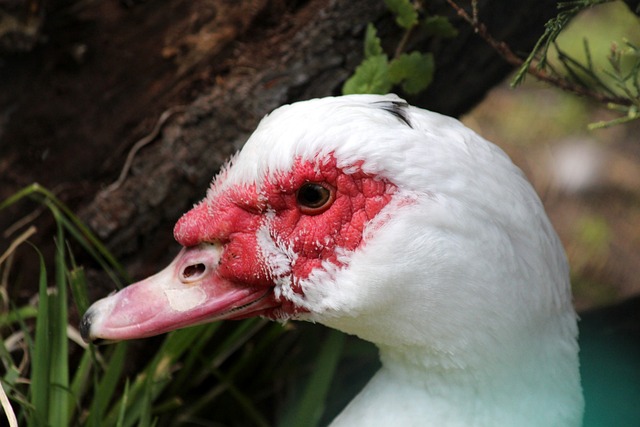 奖池余额高 奖池余额高