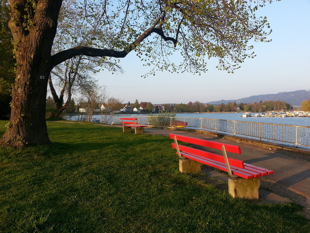 正在成为国 正在成为国