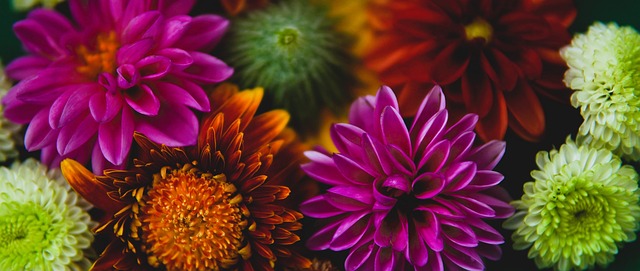 许多优秀球 许多优秀球