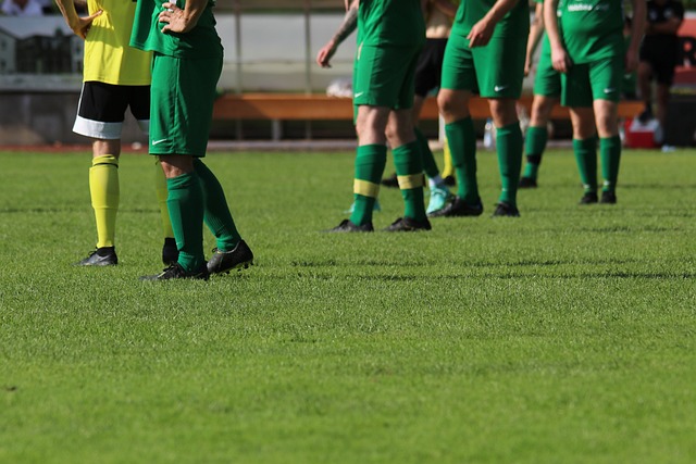 能力对整体 能力对整体